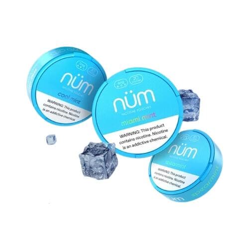 Bolsas com Nicotina - Nicotine Pouches | NUM